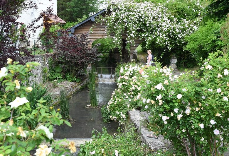 Chédigny village garden “Jardin Remarquable” and golden flower