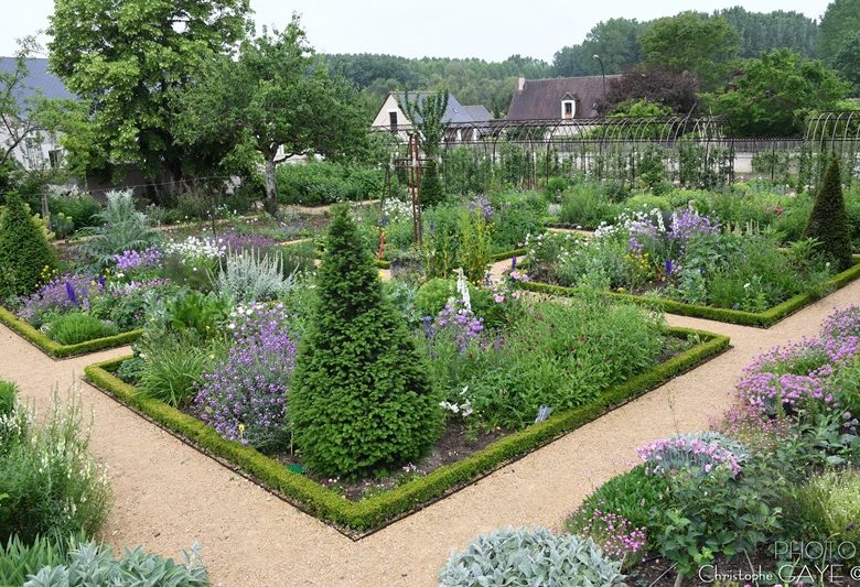 Dorfgarten von Chédigny „Jardin Remarquable“ und goldene Blume