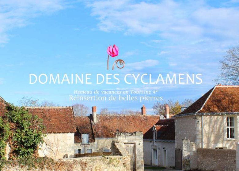 The Broodmare of the Domaine des Cyclamens