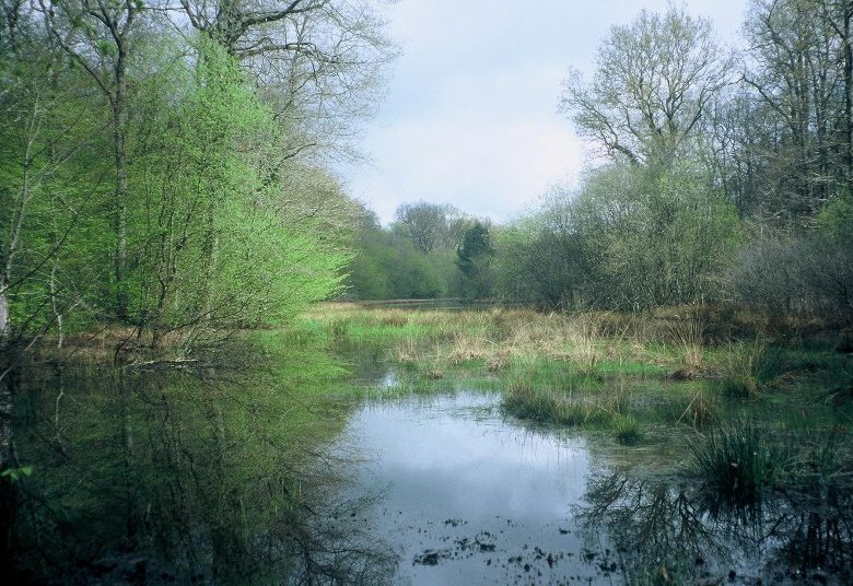 Chateauroux State Forest