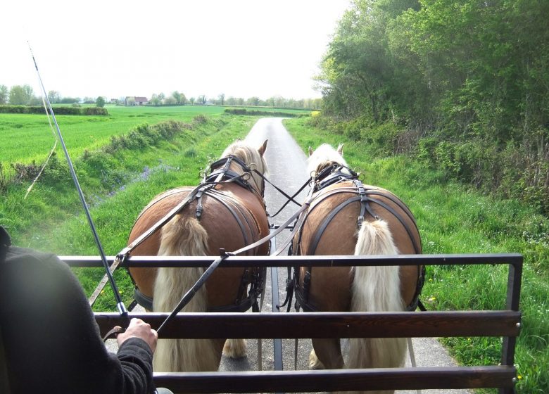 Wanderaufenthalt im Wohnwagen mit 2 Pferden