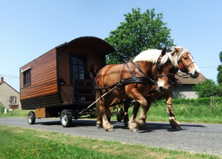 Wanderaufenthalt im Wohnwagen mit 2 Pferden