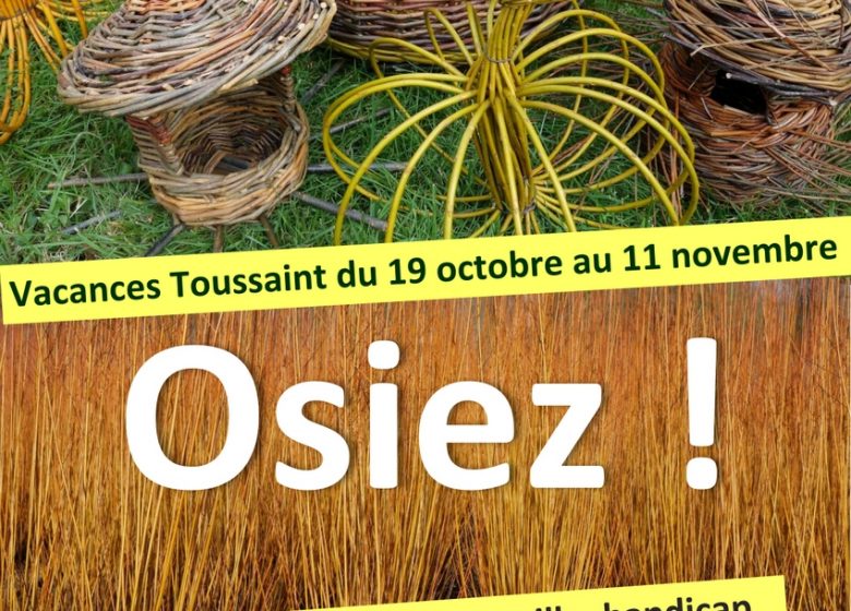 Ateliers Osier Créatif – Vacances de la Toussaint au Centre d’Art autour de l’osier à Villaines-les-Rochers  : O S I E Z !